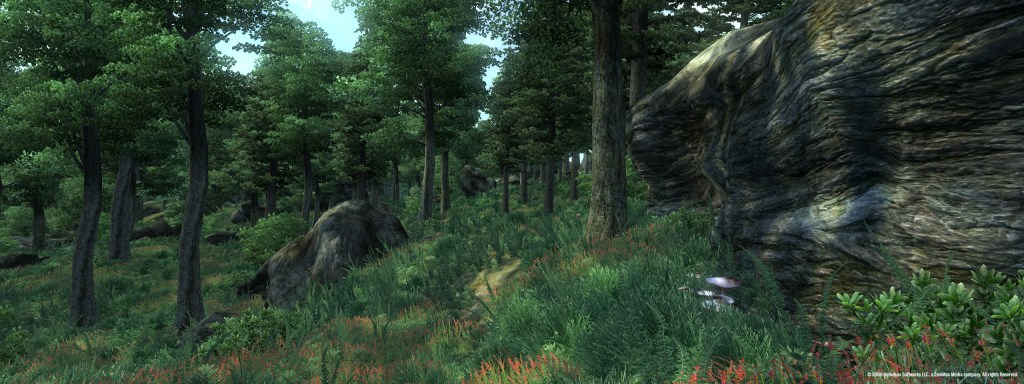 Ganz viele Bäume in The Elder Scrolls 4: Oblivion.