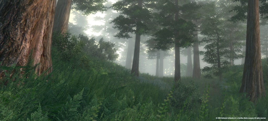 Ein Screenshot von The Elder Scrolls 4: Oblivion.