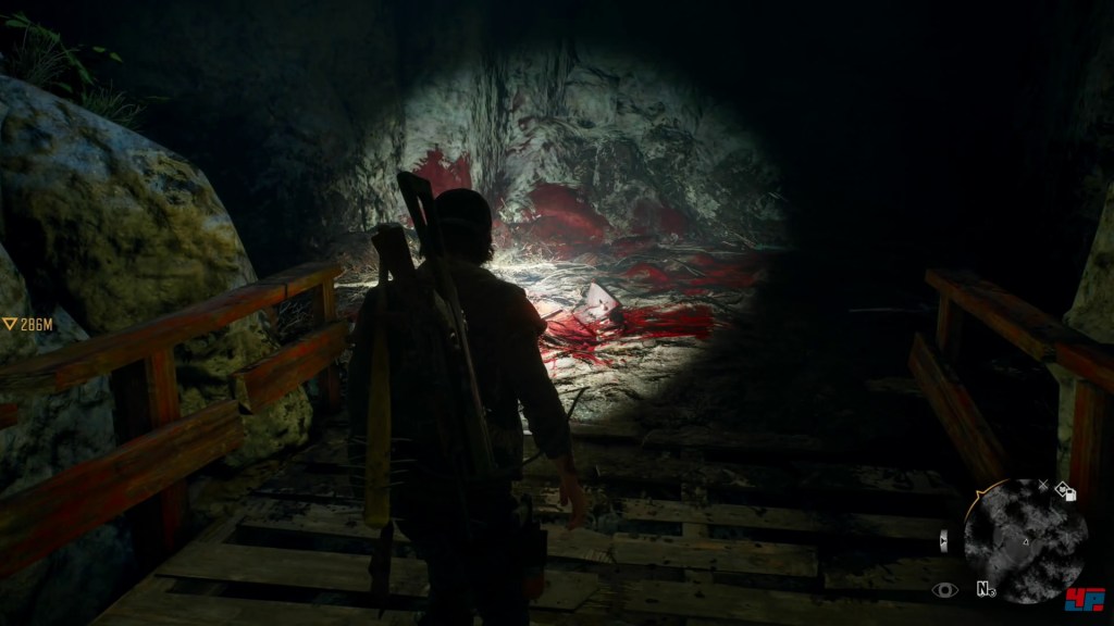 Ein Screenshot aus Days Gone.