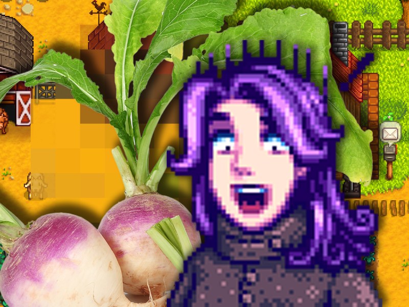 Abigail aus Stardew Valley neben einem Bild realer RÃ¼ben