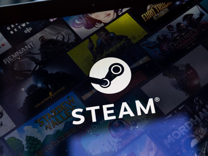 Logo der Plattform Steam auf einem Bildschirm.