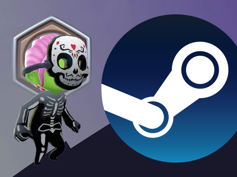 Avatar aus GeoGuessr neben dem Steam-Logo
