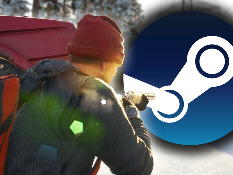 Eine Bildmontage zum Survival-Spiel Scum.