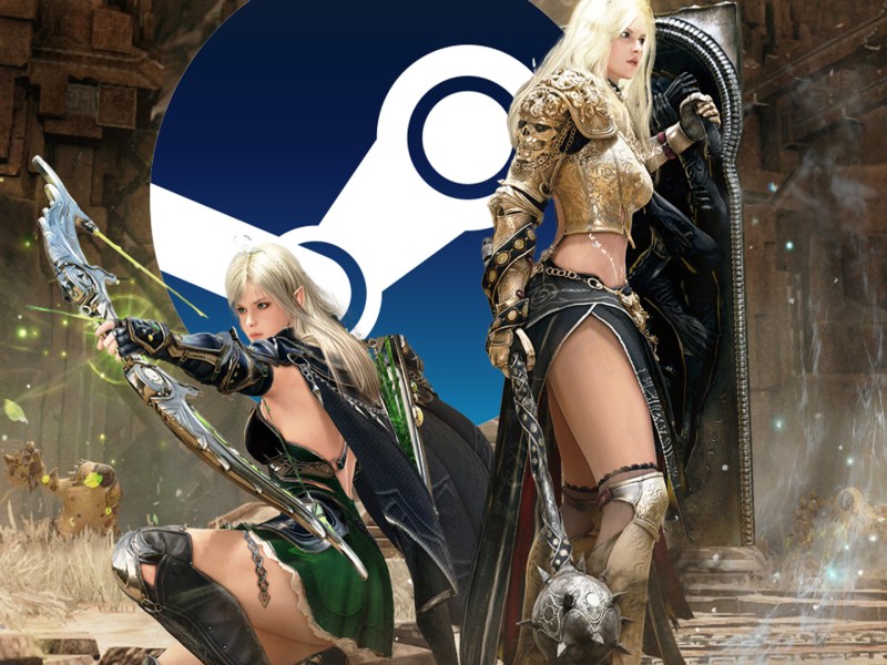 Screenshot aus Black Desert. Außerdem ist das Logo von Steam zu sehen.