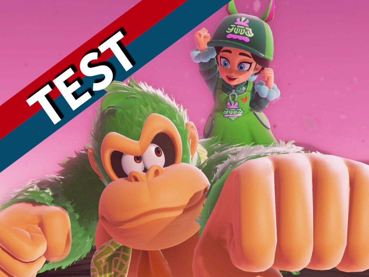 Donkey Kong und Pauline posen vor einem rot-blauen Banner.
