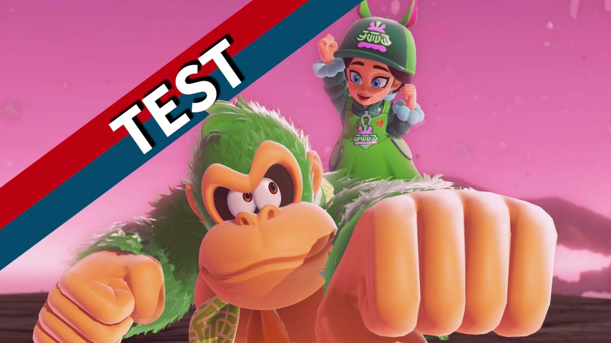 Donkey Kong und Pauline posen vor einem rot-blauen Banner.